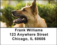 German Shepherd Address Labels | LBDOG-01