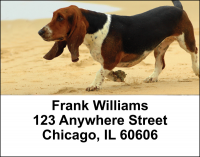 Basset Hounds Address Labels | LBDOG-07
