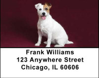 Jack Russell Terriers Address Labels | LBDOG-08