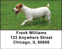Jack Russell Terriers Address Labels | LBDOG-08