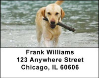 Golden Labradors Address Labels | LBDOG-10