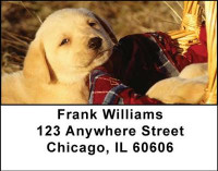 Golden Labradors Address Labels | LBDOG-10