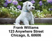 Schnauzers Address Labels | LBDOG-19