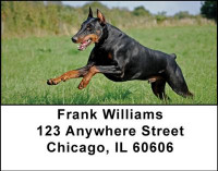 Dobermans Address Labels | LBDOG-20