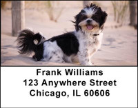 Shih Tzu Address Labels | LBDOG-22