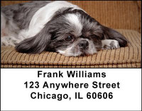 Shih Tzu Address Labels | LBDOG-22
