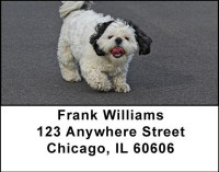 Shih Tzu Address Labels | LBDOG-22