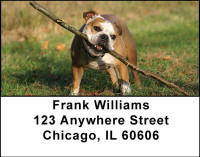 Bulldogs Address Labels | LBDOG-23