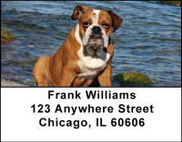Bulldogs Address Labels | LBDOG-23