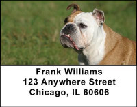 Bulldogs Address Labels | LBDOG-23