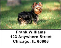 Yorkshire Terrier Address Labels | LBDOG-24