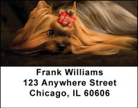 Yorkshire Terrier Address Labels | LBDOG-24