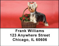 Yorkshire Terrier Address Labels | LBDOG-24