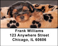 Yorkshire Terrier Address Labels | LBDOG-24