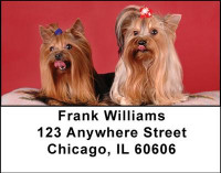 Yorkshire Double Trouble Address Labels | LBDOG-25