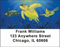 Sea Turtles Address Labels | LBDUN-01