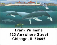 Whales and Lighthouse Address Labels | LBDUN-03
