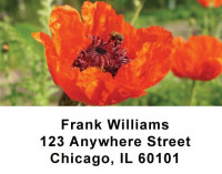 Nature's Beauty Address Labels | LBNAT-01