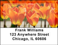 Tulips Address Labels | LBNAT-06