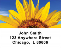 Sunflowers Address Labels | LBNAT-08