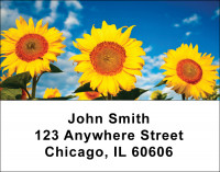 Sunflowers Address Labels | LBNAT-08