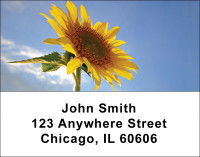 Sunflowers Address Labels | LBNAT-08