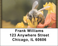 Bees And Blooms Address Labels | LBQBA-29