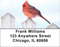 Cardinals Address Labels | LBQBA-31