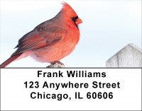 Cardinals Address Labels | LBQBA-31