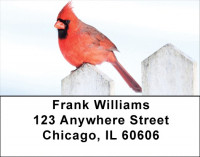 Cardinals Address Labels | LBQBA-31