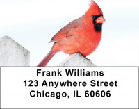 Cardinals Address Labels | LBQBA-31