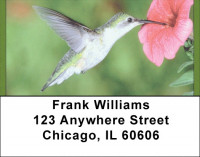 Hummingbird Haven Address Labels | LBQBA-41