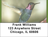 Hummingbird Haven Address Labels | LBQBA-41