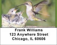 Hummingbird Haven Address Labels | LBQBA-41