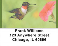 Hummingbird Haven Address Labels | LBQBA-41