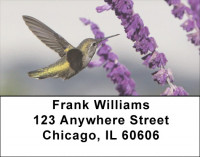 Hummingbirds In Garden Address Labels | LBQBA-42