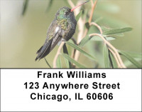 Hummingbirds In Garden Address Labels | LBQBA-42