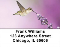 Hummingbirds In Garden Address Labels | LBQBA-42