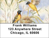Oriole Watercolor Address Labels | LBQBA-45