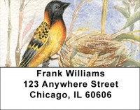 Oriole Watercolor Address Labels | LBQBA-45