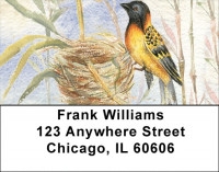 Oriole Watercolor Address Labels | LBQBA-45