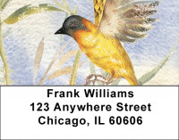 Oriole Watercolor Address Labels | LBQBA-45