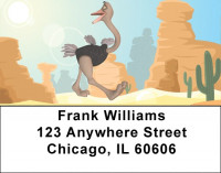 Ostrich Fun Address Labels | LBQBA-46