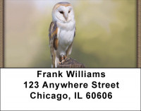 Barn Owls Address Labels | LBQBA-48