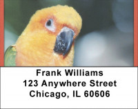 Parakeets In Paradise Address Labels | LBQBA-49