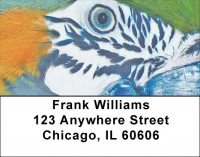 Birdseye View Address Labels | LBQBA-50