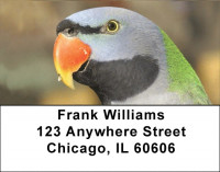 Parrot Party Address Labels | LBQBA-51