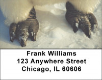 Penguin Fun Address Labels | LBQBA-55