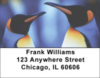 Penguin Fun Address Labels | LBQBA-55