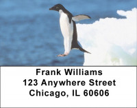 Penguin Fun Address Labels | LBQBA-55